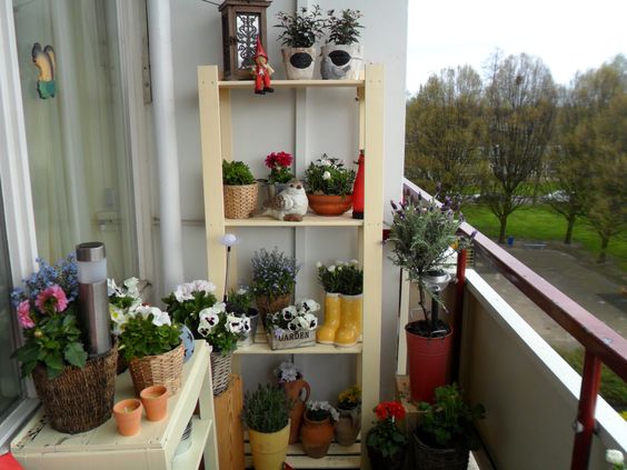rośliny na mały balkon